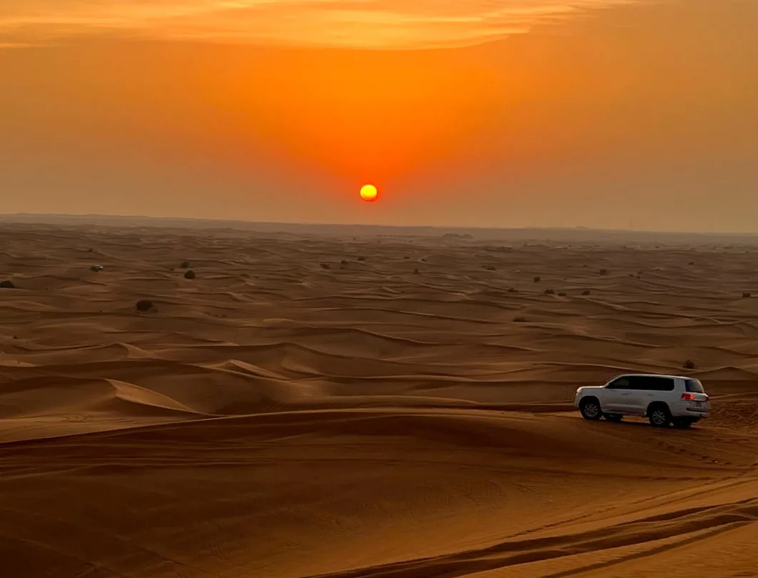 evening desert safari
