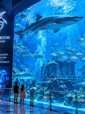 Dubai Aquarium